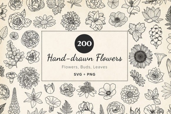 200 Hand-Drawn Flower Leaf SVG Clipart