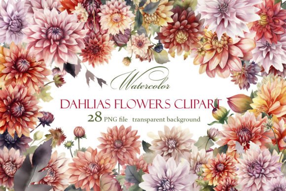 Elevating Digital Design with High-Resolution Dahlia Flowers Clipart