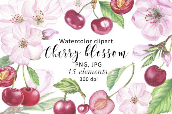 Watercolor Clipart Cherry Flower Blossom: A Practical Guide for Designers and Crafters